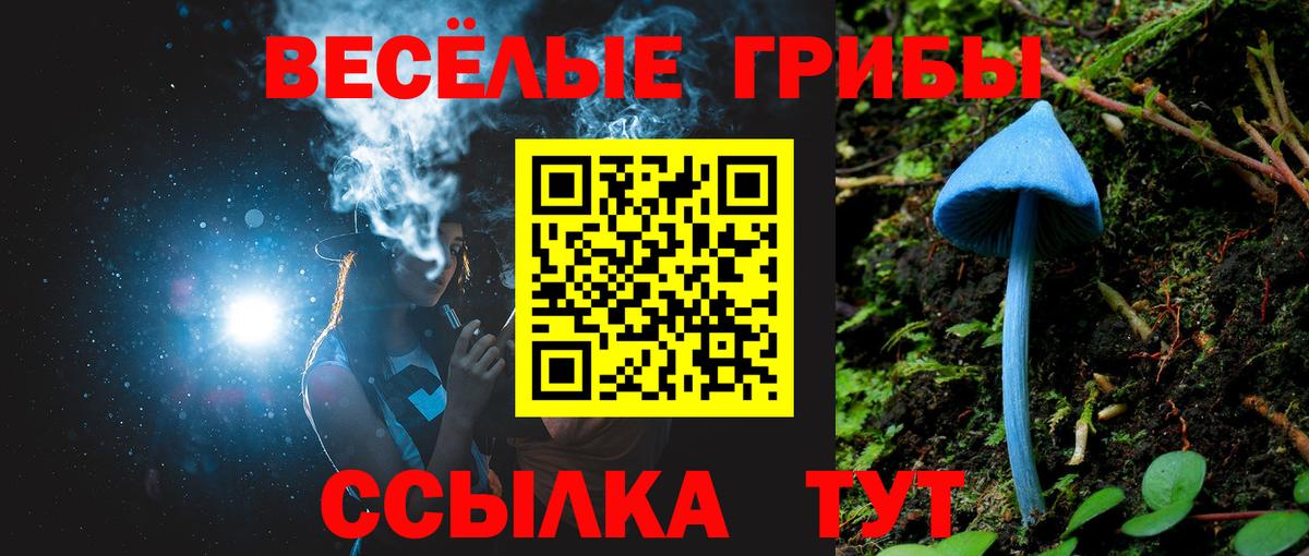 Псилоцибиновые грибы Psilocybe  Вход с VPN  Псилоцибиновые грибы ЛСД  Абинск 