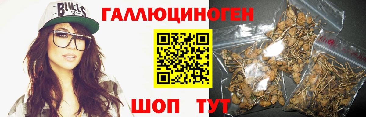 Галлюциногенные грибы прущие грибы Абинск